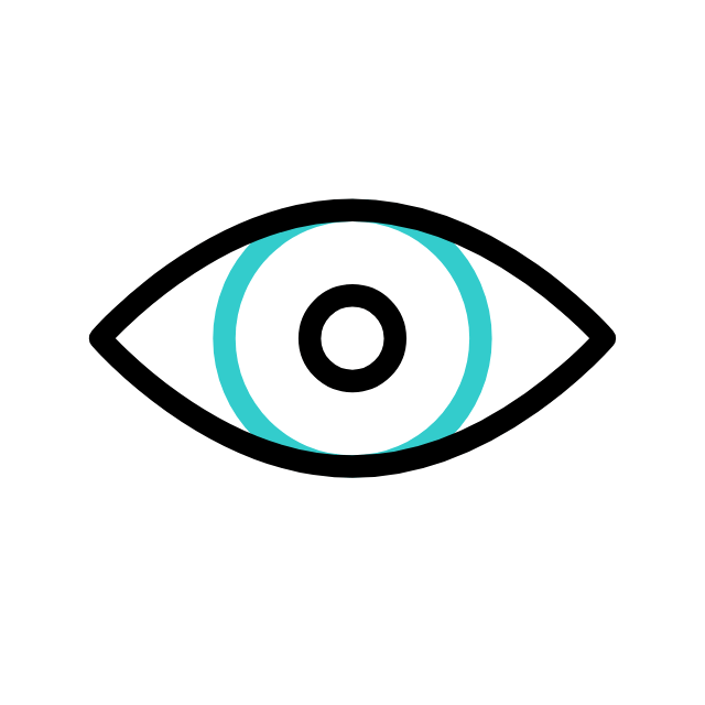 Vision